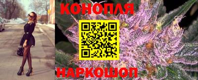 прущий лед Гусев